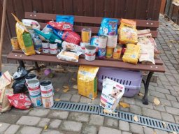 57339415712940104491935671109659362109956532n